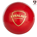 [8991] SG Everlast Cricket Ball - Red