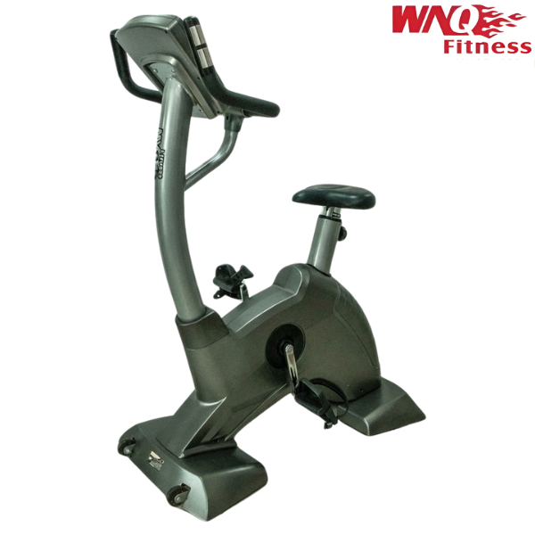 WNQ Bike Upright :F1-8318LC
