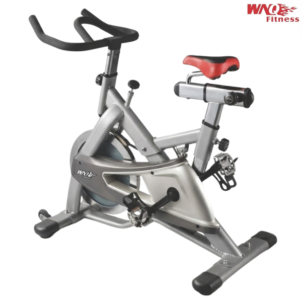 WNQ Spining Bike : F1-318M2
