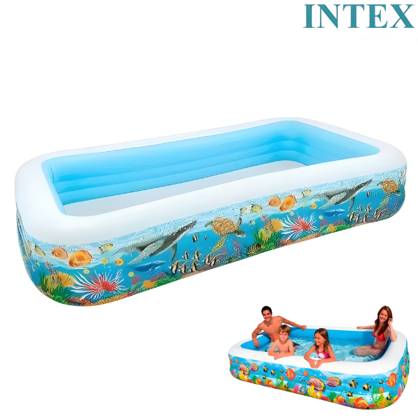 Intex Pool Sunfish Family Centre : 58485 - 6 years +