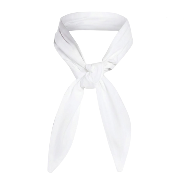 Poly Scarf