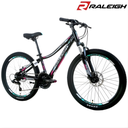 [14916] Raleigh Bicycle MTB M250 : RC432 : 24" (Blue)