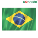 [8184] Connate Flag Assorted Countries : 15090 (Brazil)