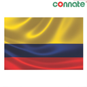 [8187] Connate Flag Assorted Countries : 15090 (Colombia)