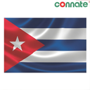 [8190] Connate Flag Assorted Countries : 15090 (Cuba)