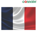 [8195] Connate Flag Assorted Countries : 15090 (France)