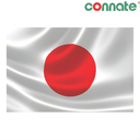 [8204] Connate Flag Assorted Countries : 15090 (Japan)