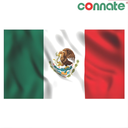 [8206] Connate Flag Assorted Countries : 15090 (Mexico)