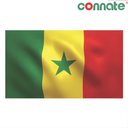 [8217] Connate Flag Assorted Countries : 15090 (Senegal)