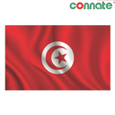 [8223] Connate Flag Assorted Countries : 15090 (Tunisia)