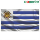 [8225] Connate Flag Assorted Countries : 15090 (Uruguay)