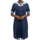 [2990] House Keeping Dress (Small, Tetrex)