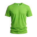 [1934] GD Round Neck T-Shirt (Parrot Green, Medium)