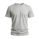 [3146] GD Round Neck T-Shirt Heavy Weight - Ash Grey (Large)