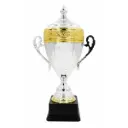 [2364] Trophy 24-4209 (51cms)