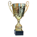 [15376] Trojan Cup Trophy Gold - TR25352 (38cm)