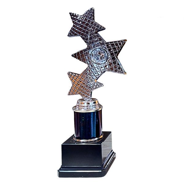 Trinity Star Multisport Tube Trophy Black & Silver - TR25602