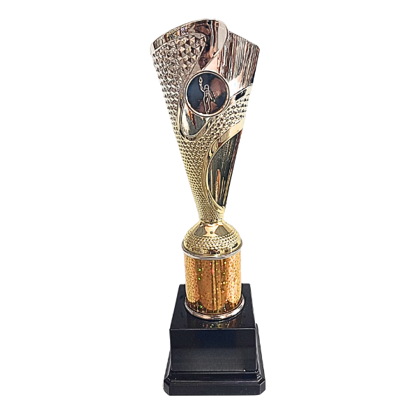 Rodeo Multisport Tube Trophy Silver & Gold - TR25608