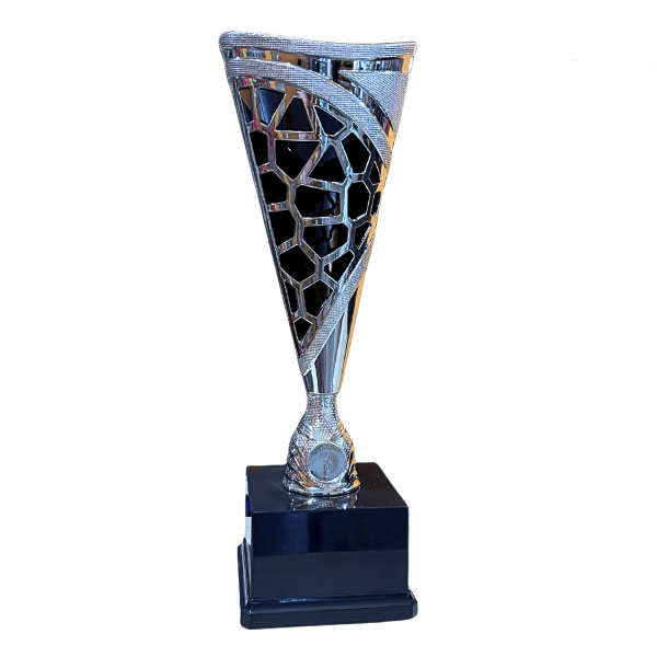 Vivid Trophy Silver & Black - TR25535