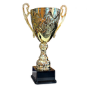 [15374] Trojan Cup Trophy Gold - TR25353 (41cms)