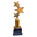 [15250] Trinity Star Multisport Tube Trophy Gold - TR25597 (29cms)
