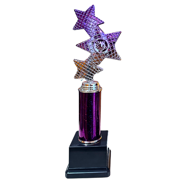 Trinity Star Multisport Tube Trophy Purple & Silver - TR25601