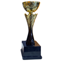 [15353] Blade Trophy Gold & Black - TR25568 (30cms)