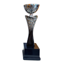 [15355] Spark Trophy Silver & Black - TR25577 (34cms)