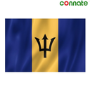 [15760] Connate Flag Assorted Countries : 15090 (Barbados)