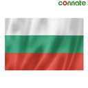 [15763] Connate Flag Assorted Countries : 15090 (Bulgaria)