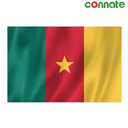 [15765] Connate Flag Assorted Countries : 15090 (Cameroon)
