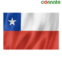[15769] Connate Flag Assorted Countries : 15090 (Chile)