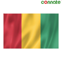 [15781] Connate Flag Assorted Countries : 15090 (Guinea)