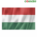[15782] Connate Flag Assorted Countries : 15090 (Hungary)