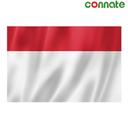 [15783] Connate Flag Assorted Countries : 15090 (Indonesia)