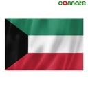 [15787] Connate Flag Assorted Countries : 15090 (Kuwait)