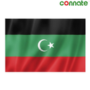 [15791] Connate Flag Assorted Countries : 15090 (Libya)