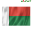 [15792] Connate Flag Assorted Countries : 15090 (Madagascar)