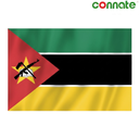 [15798] Connate Flag Assorted Countries : 15090 (Mozambique)