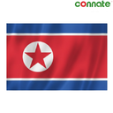 [15802] Connate Flag Assorted Countries : 15090 (North Korea)