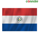 [15807] Connate Flag Assorted Countries : 15090 (Paraguay)