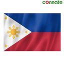 [15809] Connate Flag Assorted Countries : 15090 (Phillipines)