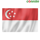 [15813] Connate Flag Assorted Countries : 15090 (Singapore)