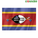[15819] Connate Flag Assorted Countries : 15090 (Eswatini (Swaziland))