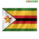 [15830] Connate Flag Assorted Countries : 15090 (Zimbabwe)