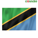 [15834] Connate Flag Assorted Countries : 15090 (Tanzania)