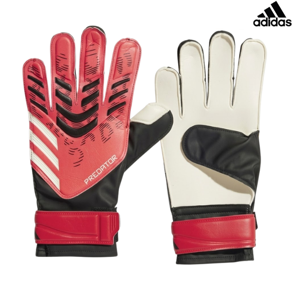Adidas Goalkeeper Gloves Pred Gl Trn : JH3805