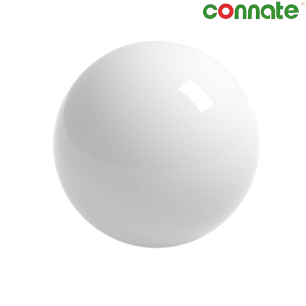 Connate Pool Balls Single