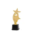 [16657] Trophy JZ2349 (24cms)