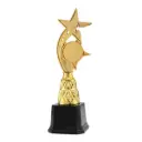 [16659] Trophy JZ2349 (30cms)